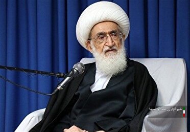 سعادت ملت‌های آزاده و مسلمان، در گرو وحدت و تقریب میان آنهاست 