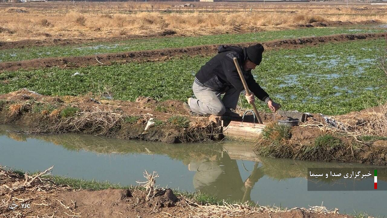 آبیاری سنتی، راهکار مناسب افزایش تولید محصول نیست