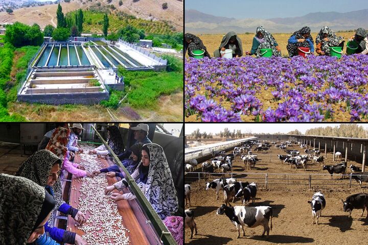 جذب ۱۰۰ میلیارد تومان تسهیلات برای مشاغل خرد روستایی در خراسان شمالی