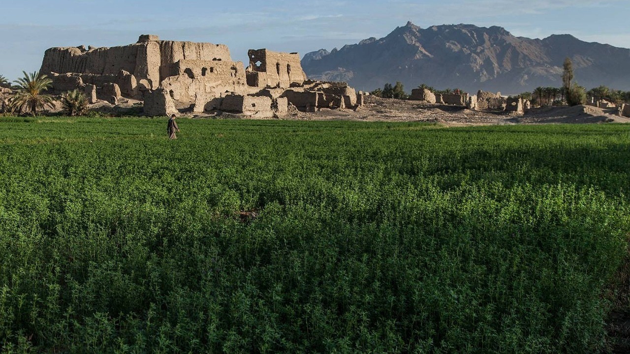 آغاز عملیات حفاظت و مرمت قلعه زابلی مهرستان