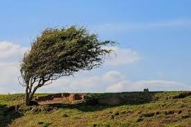 ماندگاری هوای معتدل در خراسان‌ رضوی