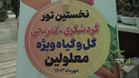 پایگاه خبری نجوا