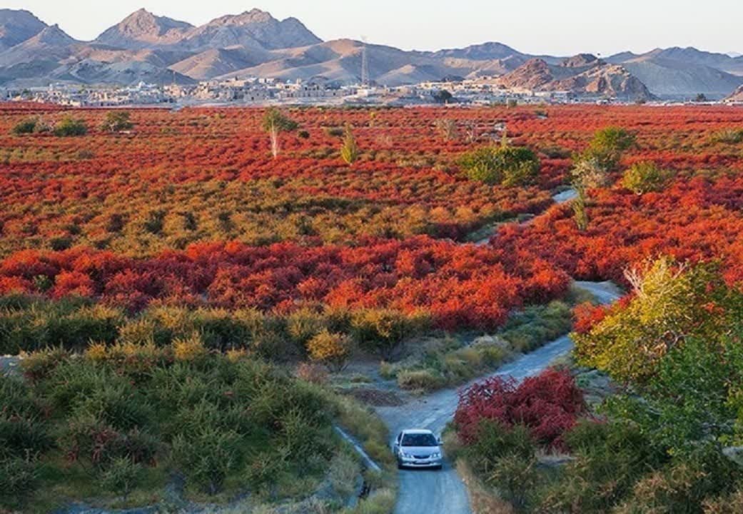 بهره مندی ۱۳۰۰ خانوار روستایی دیگر خراسان جنوبی از اینترنت پرسرعت همراه