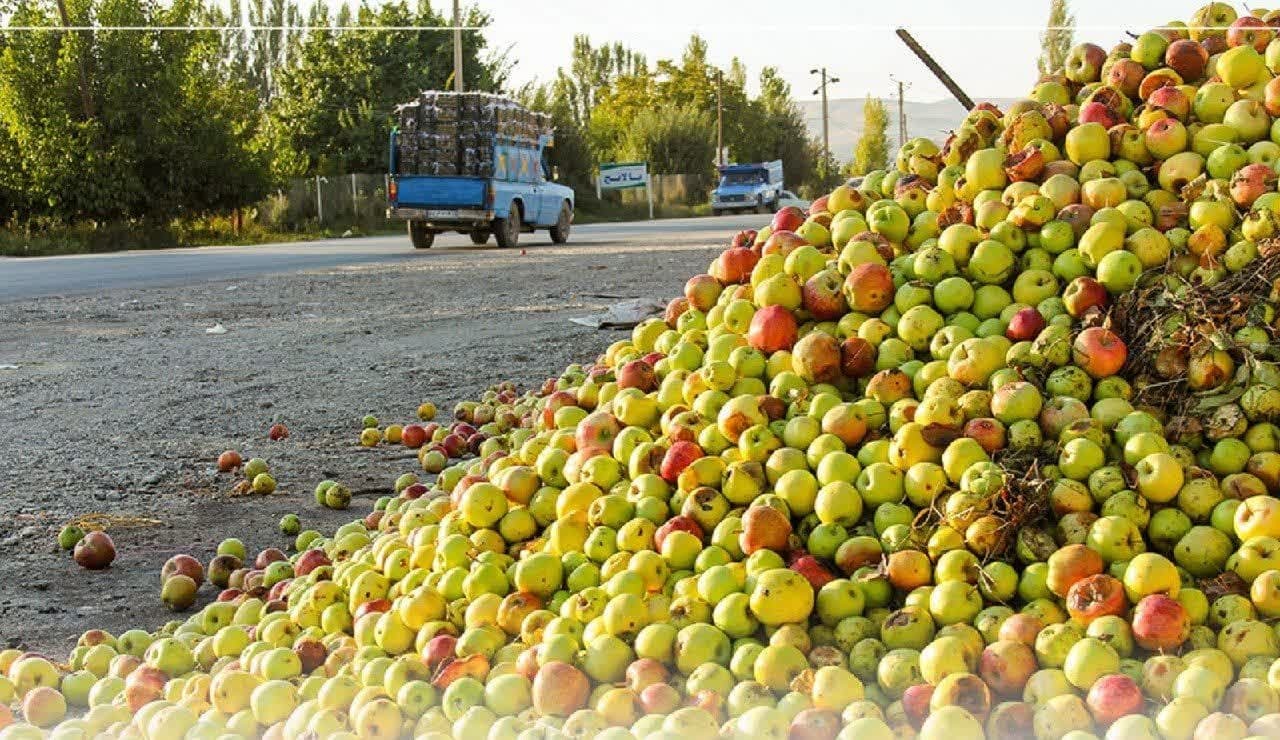 استمرار گشتهای برخورد با انباشت سیب در جاده های آذربایجان غربی