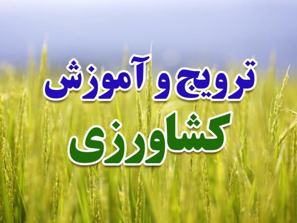 صداوسیمای آذربایجان غربی پل ارتباطی کارشناسان و بهره برداران  کشاورزی