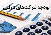 بودجه شرکت‌های بزرگ تولیدی و خدماتی حوزه نفت و گاز زیر ذره بین دیوان محاسبات