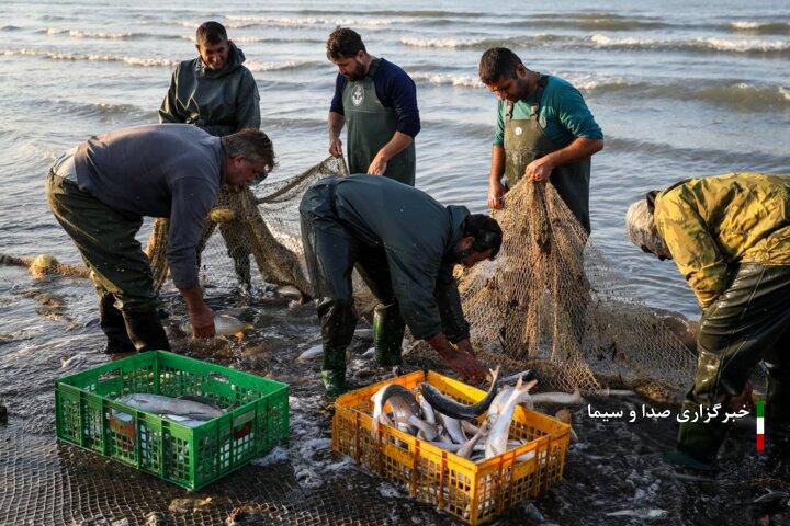 رتبه نخست آذربایجان‌غربی در کشور در بهره‌برداری از منابع آبهای داخلی