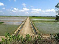 اجرای طرح جامع آب و خاک در روستای شورکا جویبار