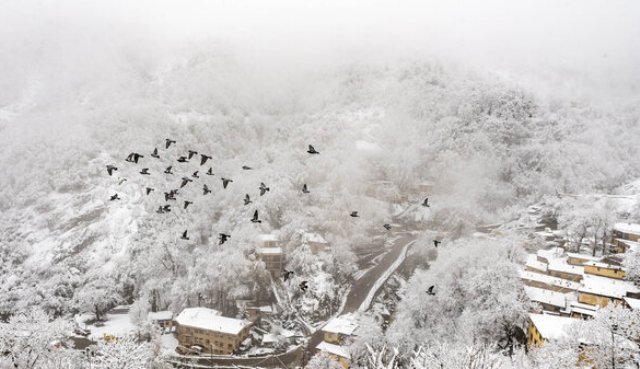 بارش برف و باران در مازندران