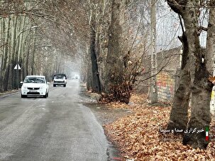 باران پاییزی مهد گل پامچال را تماشایی‌تر کرده است