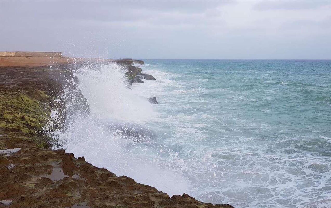 از پیشبینی وزش باد تا بارش پراکنده باران در بوشهر از پیشبینی وزش باد تا بارش پراکنده باران در بوشهر