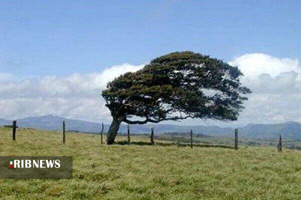 پیش بینی وزش باد در اردبیل پیش بینی وزش باد در اردبیل