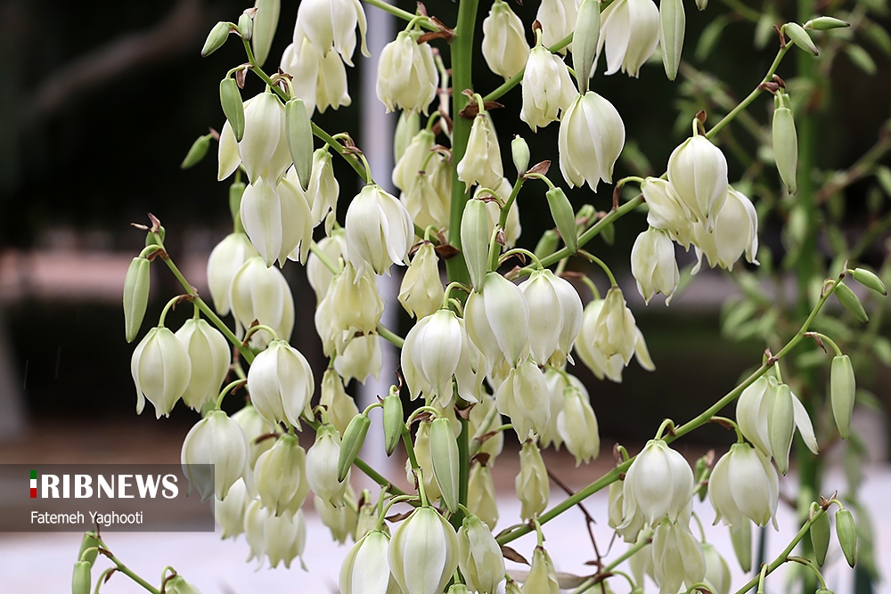 پیش بینی افزایش نسبی دما در طول روز ۶ آبان پیش بینی افزایش نسبی دما در طول روز ۶ آبان