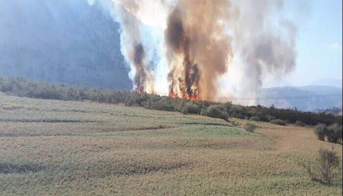 مهار آتش سوزی در منطقه شیمبار مهار آتش سوزی در منطقه شیمبار