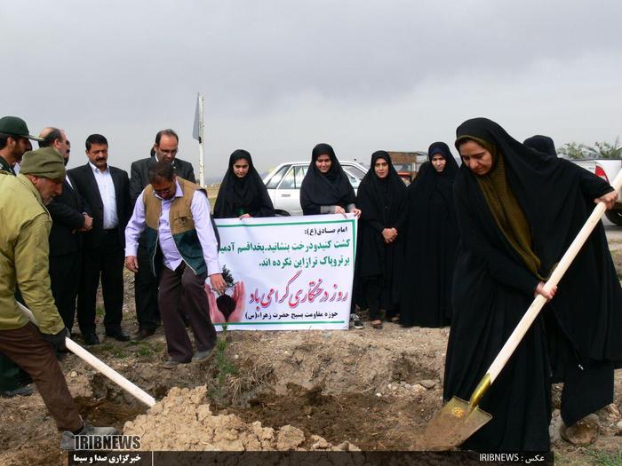 شهروند خبرنگارحسن امرایی / شهرستان رومشکان: اداره مناطع طبیعی شهرستان رومشکان ۵ اسفند ۹۵ با همکاری شهرداری شهر چغابل 2000 نهال در ورودی این شهر کاشت.
