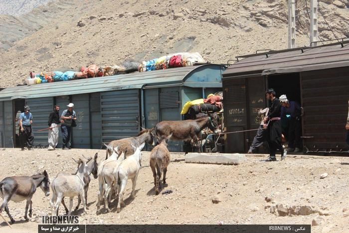 کوچ بهاره عشایر شرق لرستان به سمت مناطق ییلاقی استان 