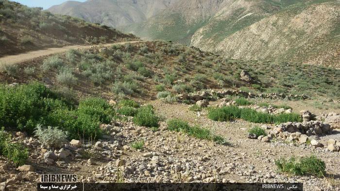 اعتراض مردمی به احداث جاده در مسیر دریاچه گهر