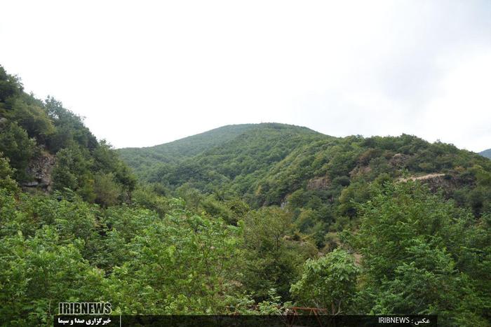 طبیعت زیبای گیلده(مشه سویی) عکس از مهدی اخوی