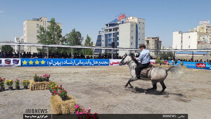 جشنواره شو سواری اسب های فلات ایران در سرعین