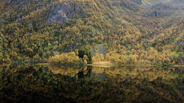 «لوفوتن»، (Lofoten)، نروژ_این دریاچه مانند آینه‌ای تصویر جنگل را منعکس کرده بود. 