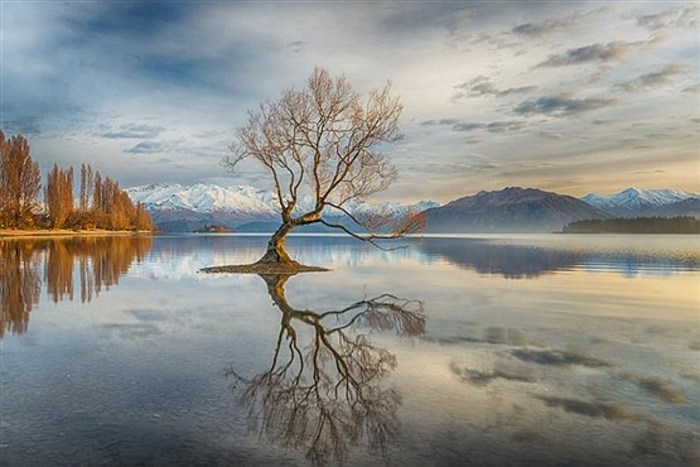 «واناکا»، (Wanaka)، نیوزلند _ من هم دست به کار شدم، تا طلوع خورشید صبر کردم و این منظره‌ی زیبا را شکار کردم.