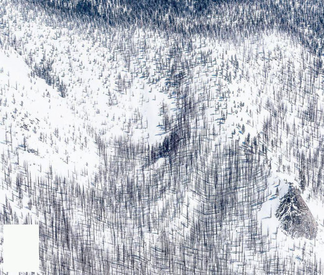بارش برف در تپه ای نزدیک پارک ملی یوسمیتی-آمریکا