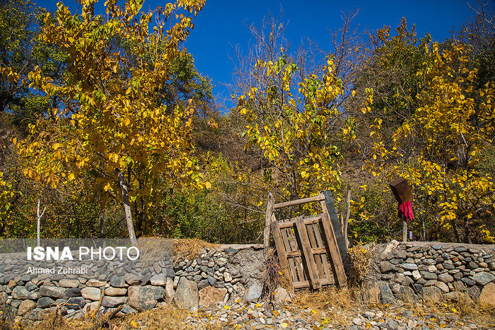                 طبیعت پاییزی قم