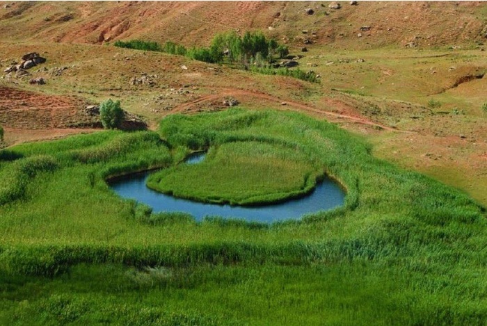 
چملی گول...چمن متحرک... روستای بدرلو تکاب...آذربایجان غربی