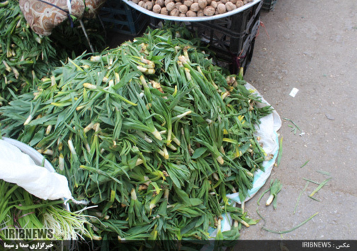 با فرارسیدن بهار بازار با گیاهان خوراکی- دارویی بومی منطقه زاگرس عطرآگین می‌شود