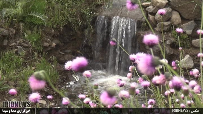 دشت زیبای شقایق 27 کیلومتری جاده خلخال به اسالم