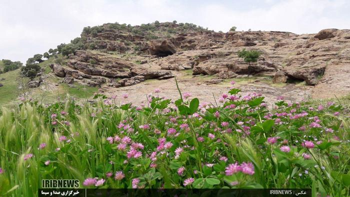 طبیعت زیبای مخملکوه خرم آباد و تالاب ازگن شهرستان دورود

عکاس: حسین میرزایی