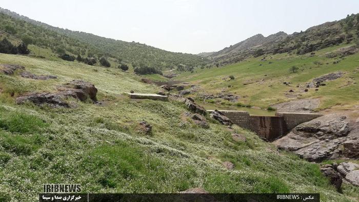 طبیعت زیبای مخملکوه خرم آباد و تالاب ازگن شهرستان دورود

عکاس: حسین میرزایی