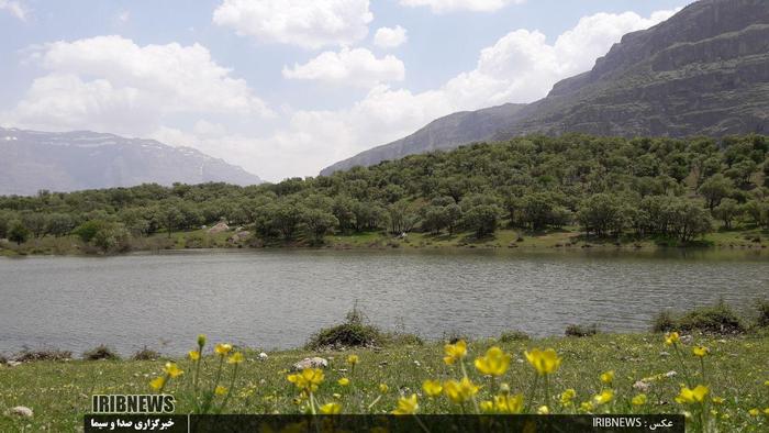 طبیعت زیبای مخملکوه خرم آباد و تالاب ازگن شهرستان دورود

عکاس: حسین میرزایی