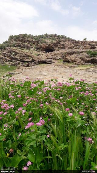 طبیعت زیبای مخملکوه خرم آباد و تالاب ازگن شهرستان دورود

عکاس: حسین میرزایی