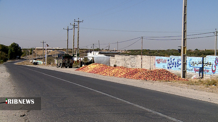 حراج سیب در کنار جاده