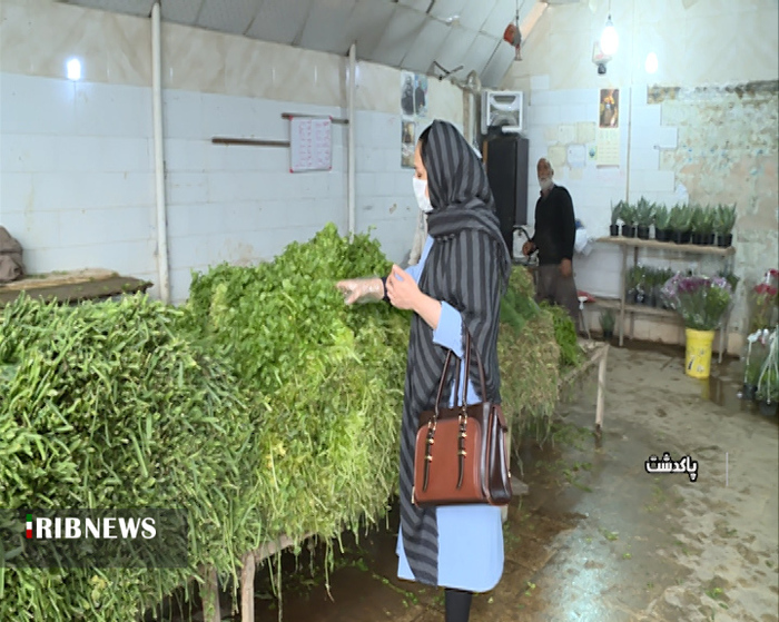 مراکز فروش سبزی در روستای آلوئک