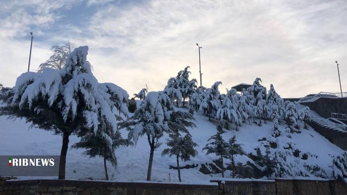 
طبیعت زیبای برفی دلفان
