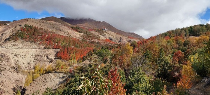 روستای خشکچال