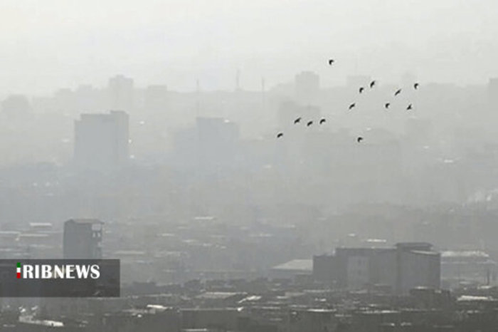 سوخت مازوت در ریه های شهر