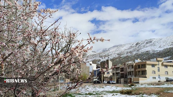 بارش برف بهاری در سپیدان - سجاد قیصری